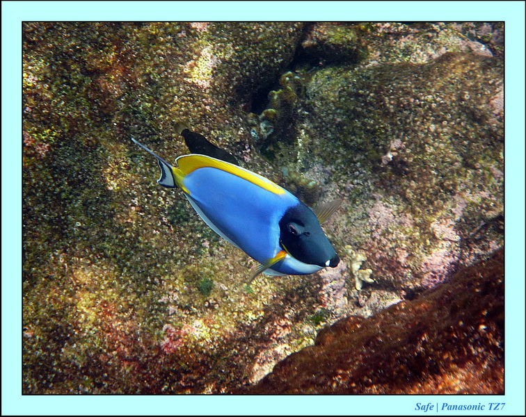 2011 - 07 - Koh Lipe 58